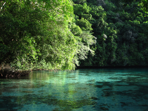 Seawater pH in Palau's Rock Island bays is as low as the open ocean may be at this century's end.: Photograph by Hannah Barkley courtesy of NSF.